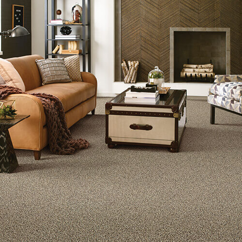 Living room carpet floor | Affordable Floors