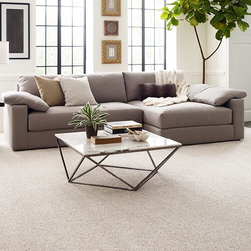 Living room flooring | Affordable Floors